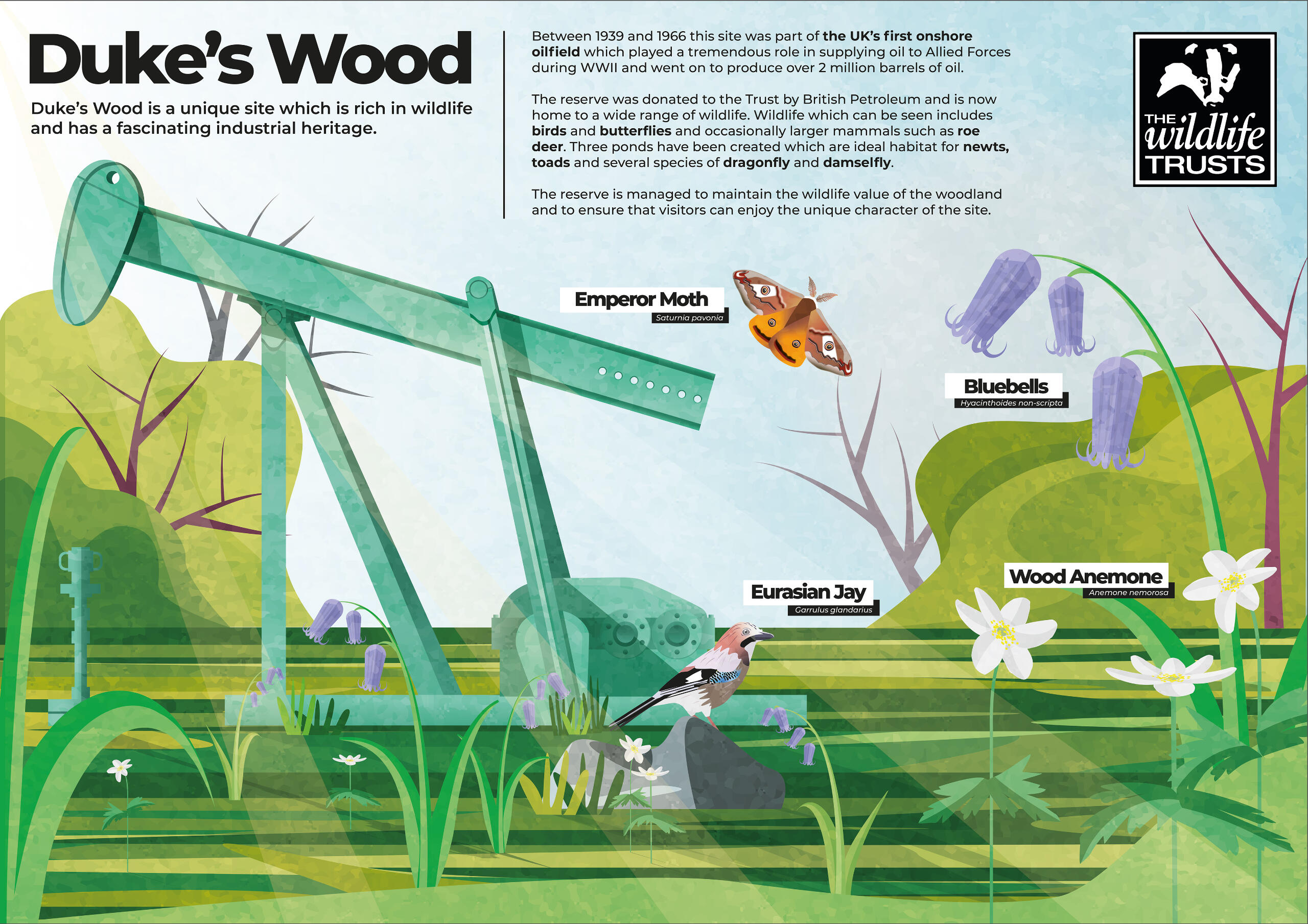 Interpretation board redesign