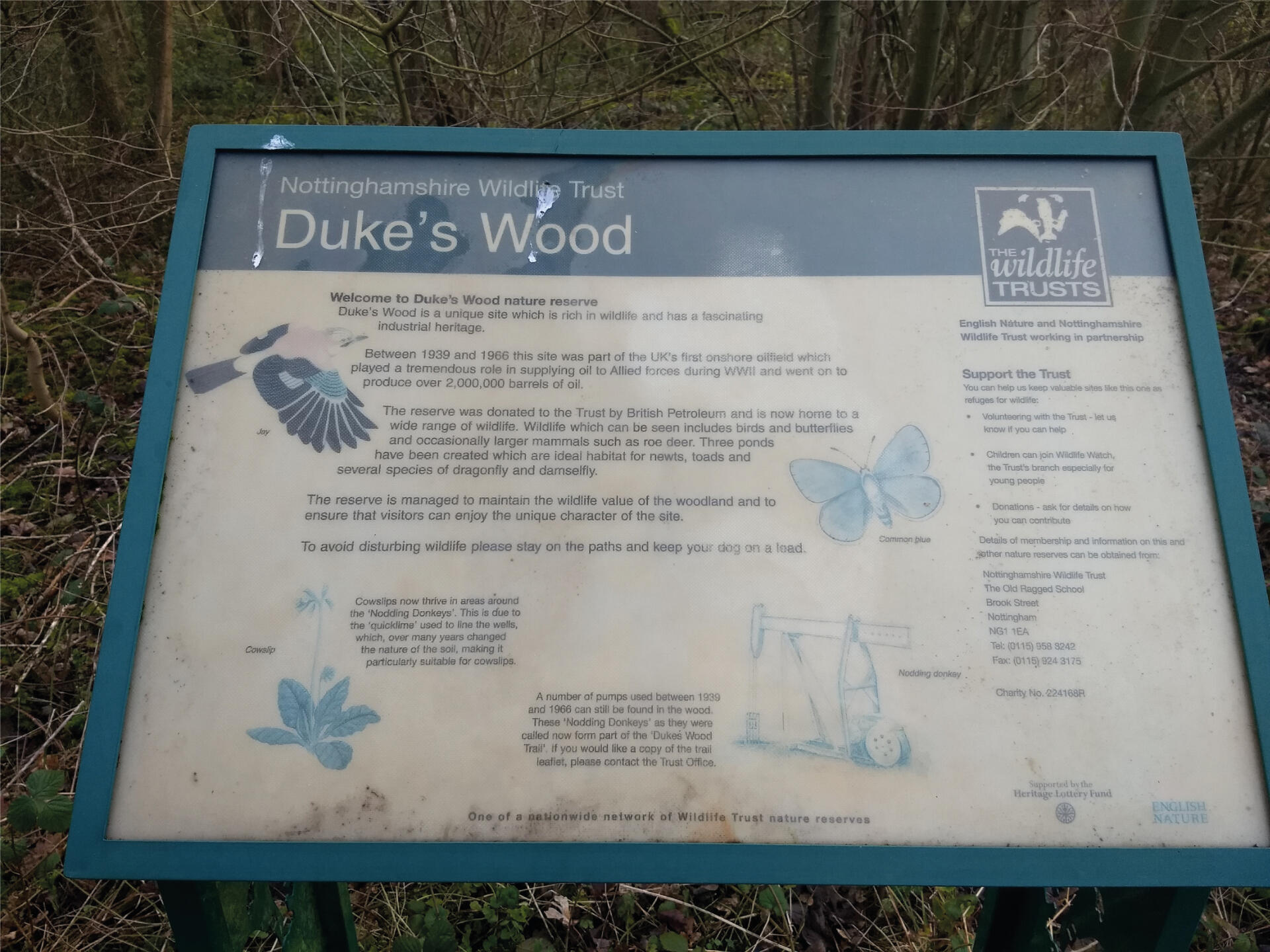 Original interpretation board