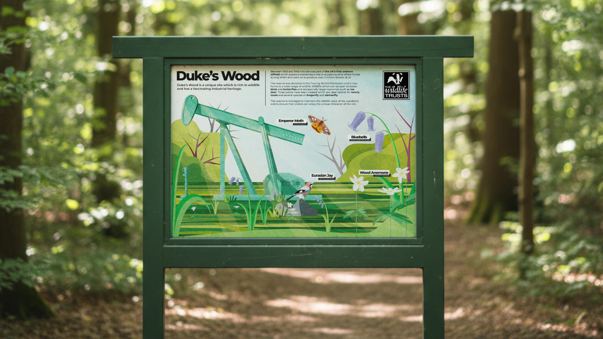 Interpretation board redesign