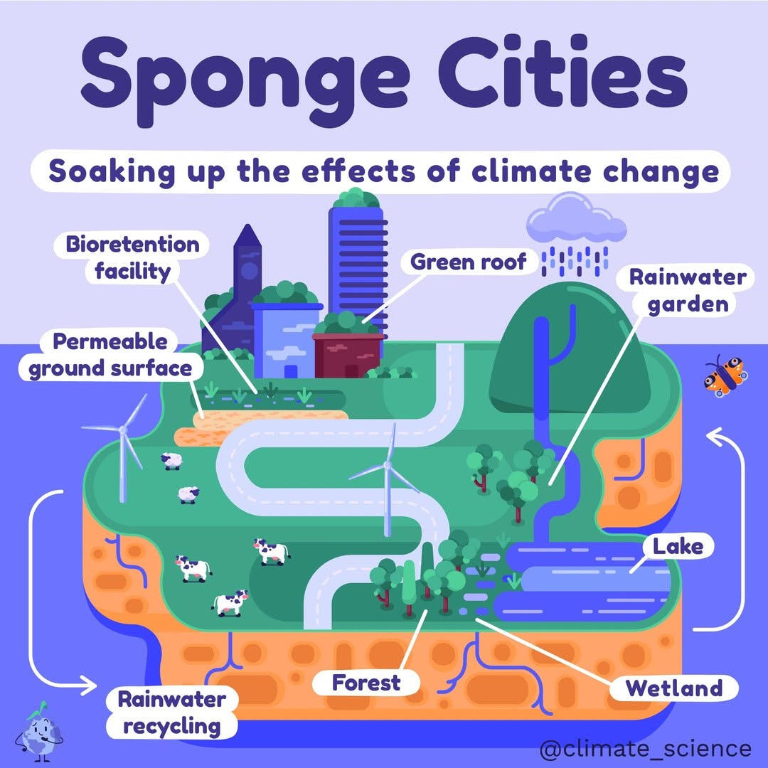 Vector illustration of a diagram of the Sponge Cities concept. The illustration shows an island floating on water. The side of the island is made of sponge while the top of the island has green grass, tall buildings, a road, river, farm animals. Labels on